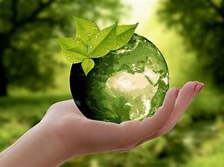 Sustainability Services